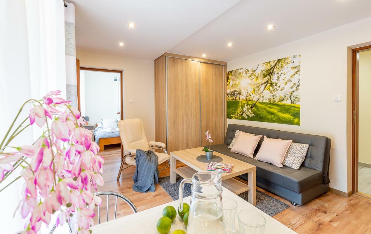 Apartament I Pokoje Goscinne U Lusi Wisła Eksteriør billede